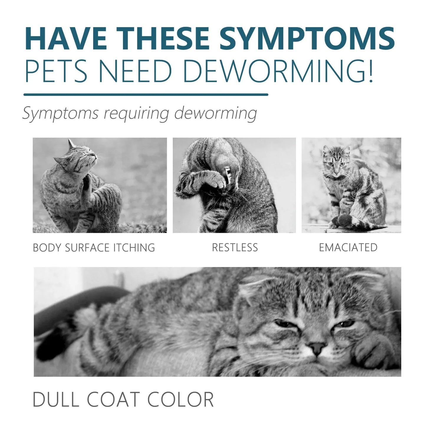 Pet Flea Killer Drops anti Fleas Cats Ticks Lice Mite Removal Relieve Itching Dogs Ringworm Treatment Pet Insect Removal Drops