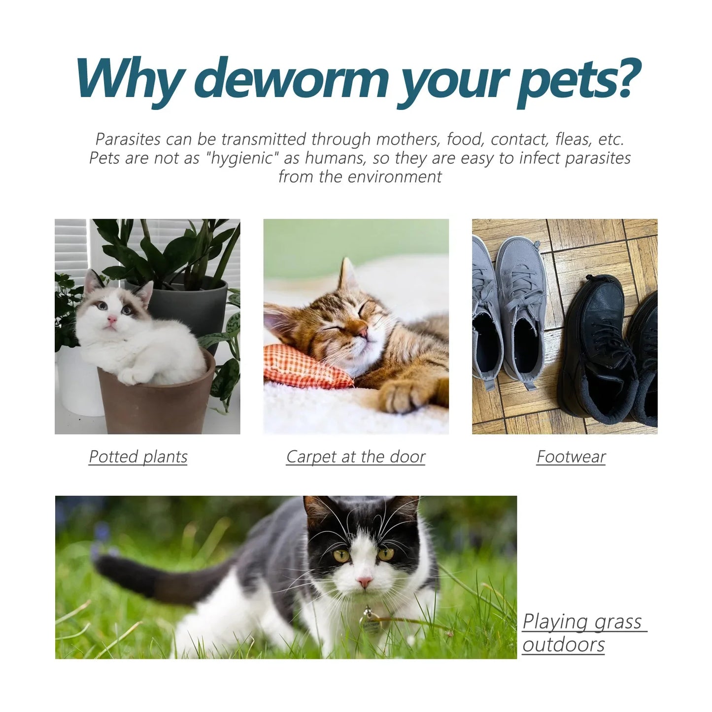 Pet Flea Killer Drops anti Fleas Cats Ticks Lice Mite Removal Relieve Itching Dogs Ringworm Treatment Pet Insect Removal Drops