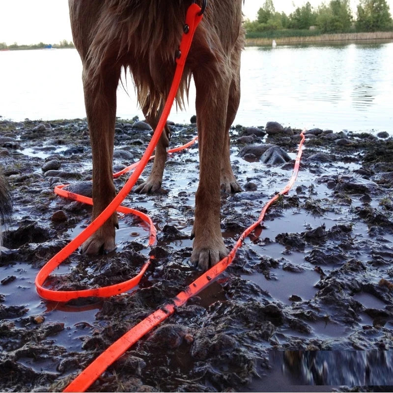 Waterproof Dog Leash Long Pvc Pet Leashes Easy to Clean Rope for Small Medium Large Big Dogs Walking Traning Lead 3M 5M10M 15M