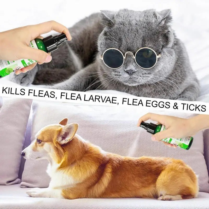 100Ml Natural Care Flea and Tick Spray for Dogs and Cats Flea Spray for Indoor Outdoor Dogs and Cats Flea Spray Pet Protect