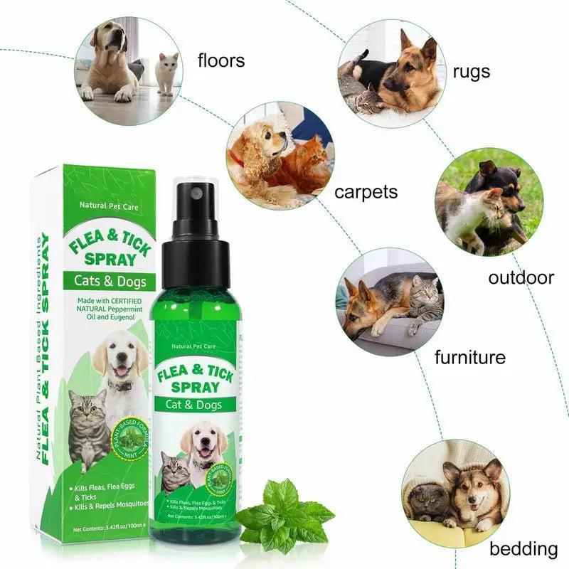 100Ml Natural Care Flea and Tick Spray for Dogs and Cats Flea Spray for Indoor Outdoor Dogs and Cats Flea Spray Pet Protect