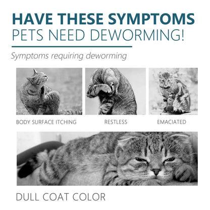 Pet Flea Killer Drops anti Fleas Cats Ticks Lice Mite Removal Relieve Itching Dogs Ringworm Treatment Pet Insect Removal Drops