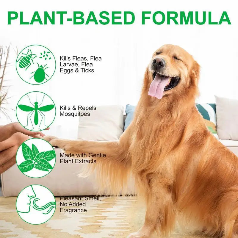 100Ml Natural Care Flea and Tick Spray for Dogs and Cats Flea Spray for Indoor Outdoor Dogs and Cats Flea Spray Pet Protect