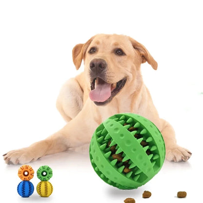 Interactive Rubber Chew Balls for Dogs and Cats - Perfect for Dental Care and Playtime!