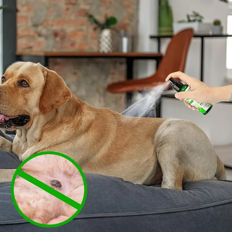 100Ml Natural Care Flea and Tick Spray for Dogs and Cats Flea Spray for Indoor Outdoor Dogs and Cats Flea Spray Pet Protect